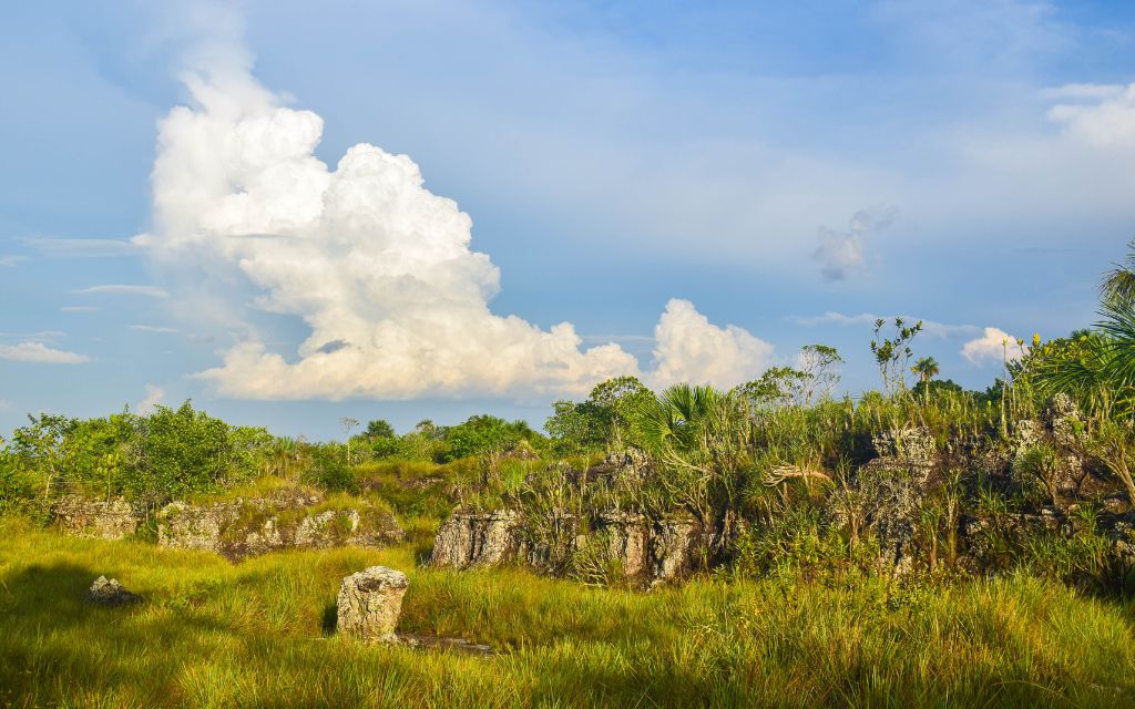 ciudad de piedra sitio turistico en san jose del guaviare donde vemos un paisaje natural con campos de hierba alta, formaciones rocosas cubiertas de vegetación y cielo azul con nubes blancas.