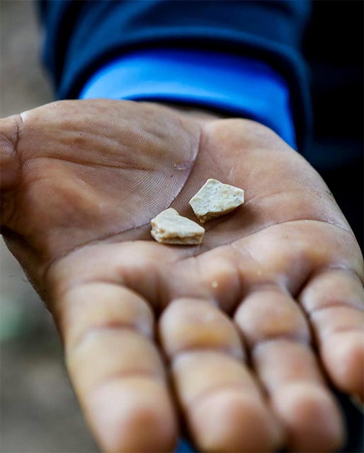hoja de coca convertida en pasta base de coca luego de usar sustancias nocivas como queroseno, gasolina, cal, bicarbonato de sodio, ácido sulfúrico y otros productos químicos