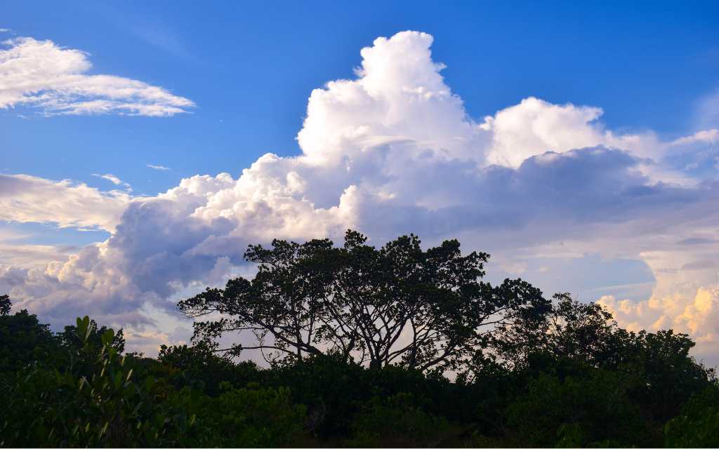 cielos de san jose del guaviare, todo un espectaculo