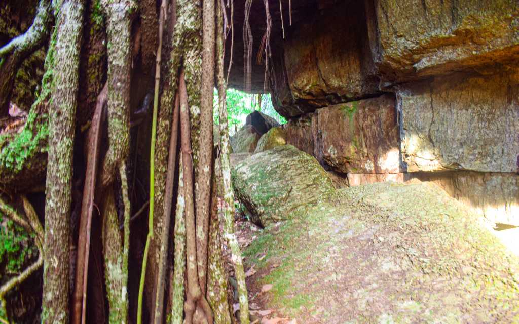 pared inmensa de rocas una sobre otras rodeados de raicez de arboles en ciudad de piedra guaviare