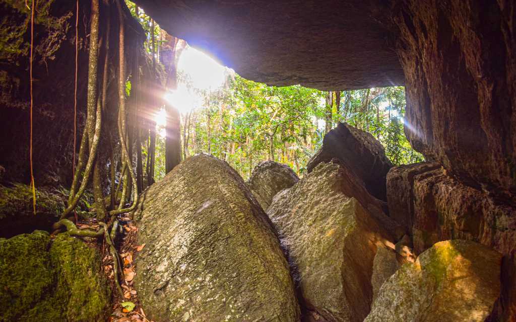 Cueva rocosa en un bosque denso, con luz solar iluminando el interior y raíces de árboles colgando en ciudad de piedra atractivo natural del guaviare