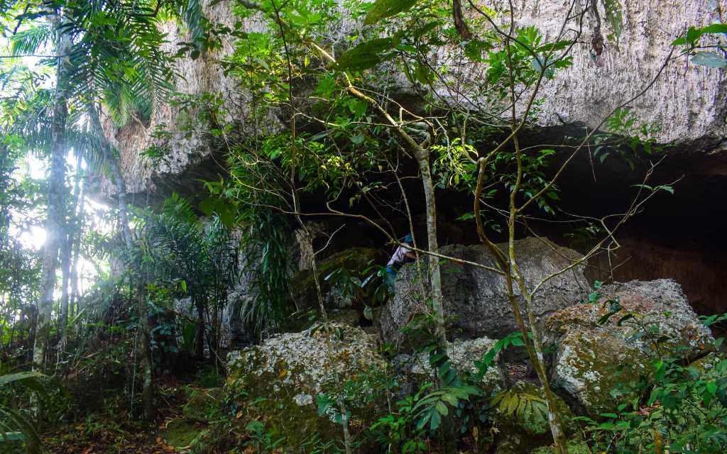 imponente ciudad de piedra rodeada de arboles creando una atmosfera llena de misterio en ciudad de piedra atractivo turistico del guaviare
