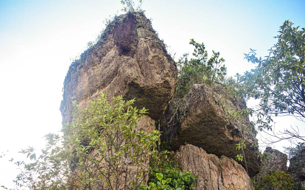 primer plano de una roca imponente en ciudad de piedra sitio turistico del guaviare