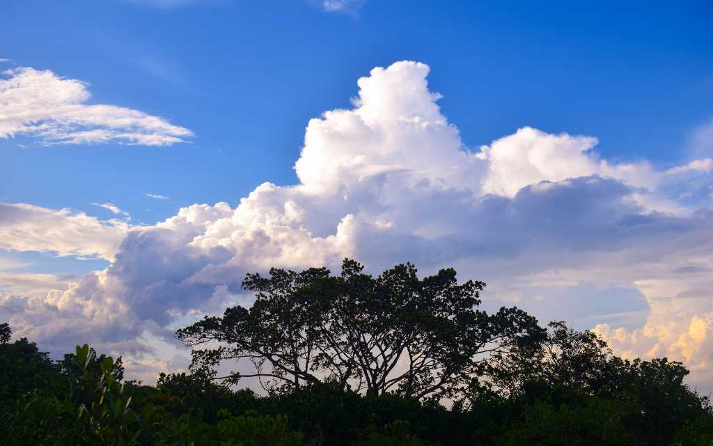 hermosos ciellos magnificos, espectaculares, vistos normalmente en san jose del guaviare