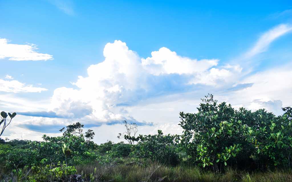 cielos maravillosos tipicos del guaviare