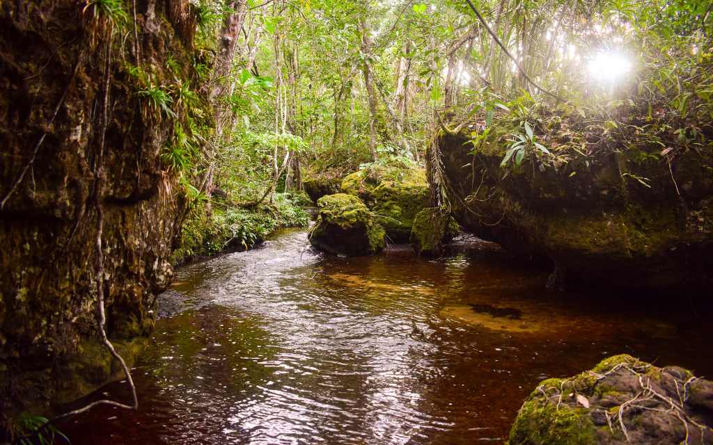 sendero de aguas rodeado de un verde intenso, turismo guaviare en los chorros