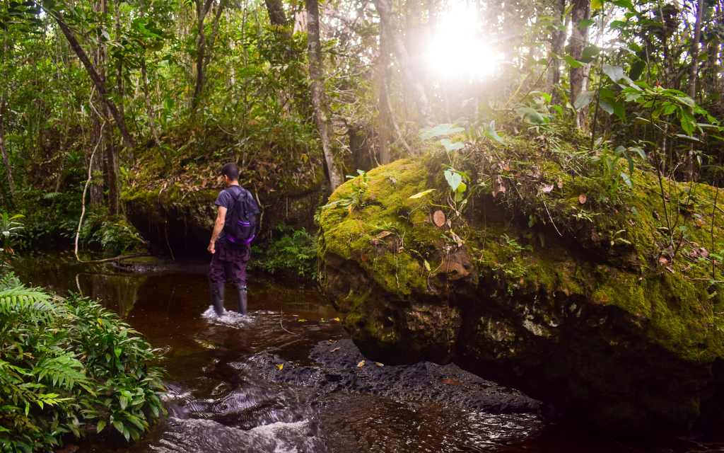 hombre caminando en los chorros, senderos de agua en paisaje de bosque puro, turismo guaviare