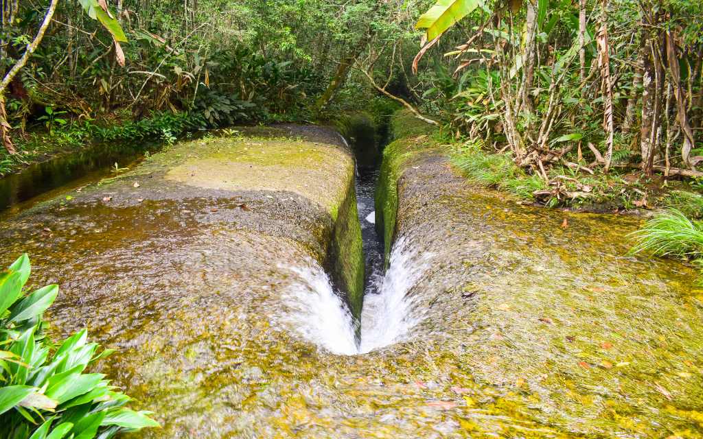 canales de agua fluyendo en un canal que los turistas suelen recorrer, una atmósfera exuberante y tropical en los chorros atractivo natural de san jose del guaviare