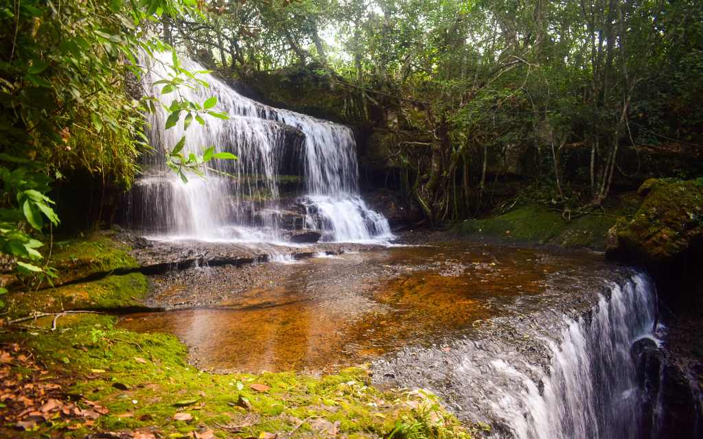 los chorros, el segundo nivel de una cascada rodeada de una exhuberante vegetacion turismo en el guaviare