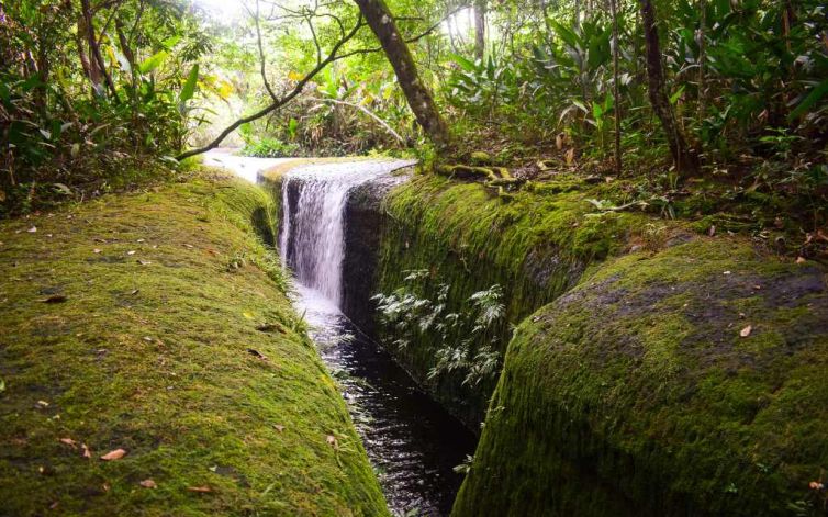 los chorros atractivo natural donde los canales de agua fluyen libremente para refrescar al turista en el guaviare