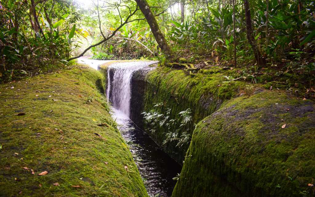 los chorros atractivo natural donde los canales de agua fluyen libremente para refrescar al turista en el guaviare