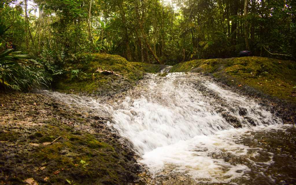 los chorros son un sendero natural donde se encuentra agua durante todo el camino en san jose del guaviare