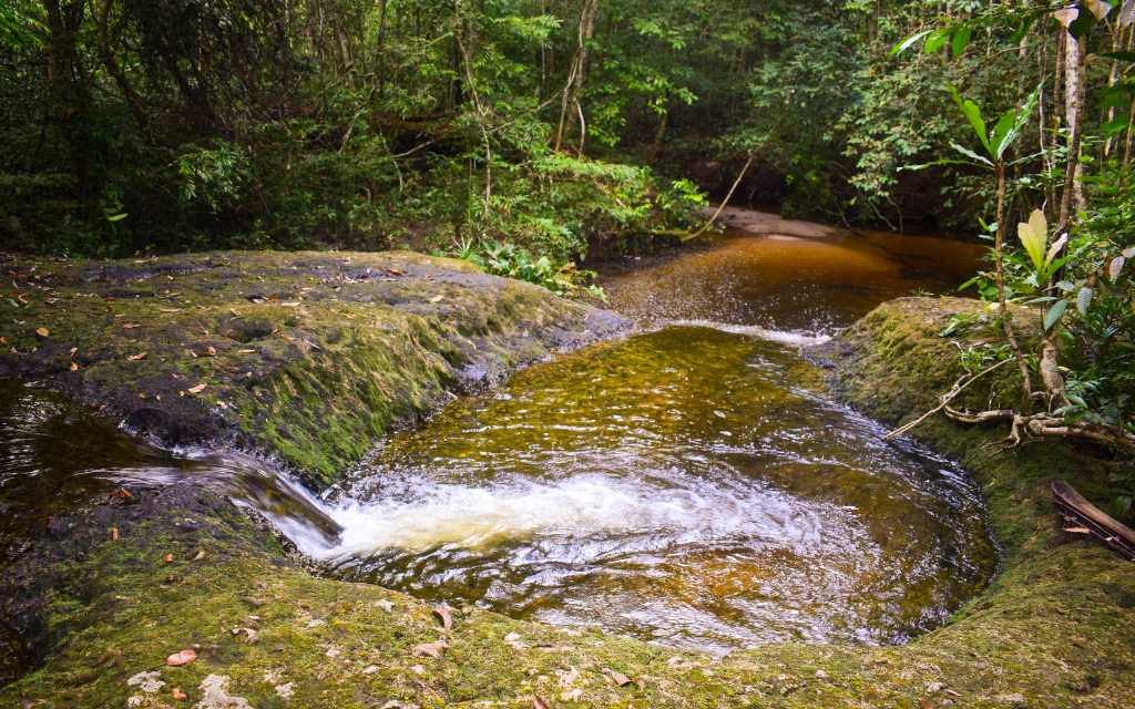 pozos de agua con chorros para sumergirse en san jose del juaviare