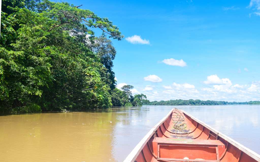 mirador narigua observación de aves coloridas sobre los arboles cercanos al agua