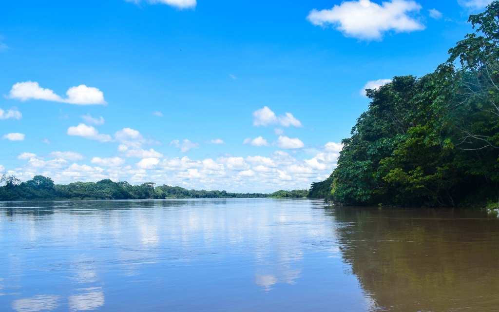 mirador narigua, un paisaje majestuoso para admirar y buscar delfines en el guaviare