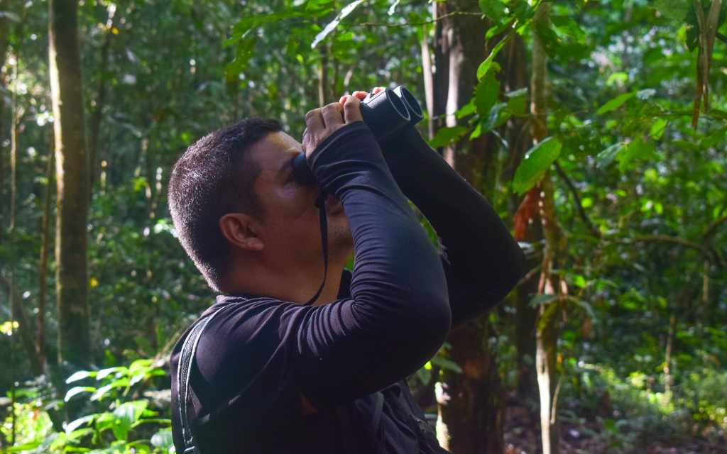 avistamiento de aves guaviare
