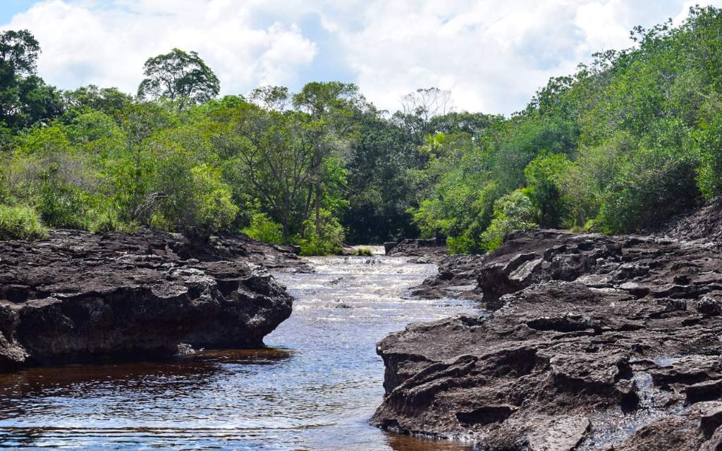 pozo natural san jose del guaviare dentro de ecocheyenne