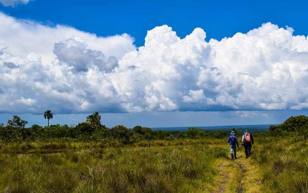 inspiradora foto en tuneles naturales donde las nubes parecen creadas para ser paralelas con el horizonte en el guaviare