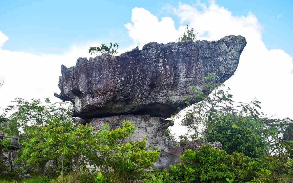 arca formada por dos rocas en equilibrio en tuneles naturales, guaviare