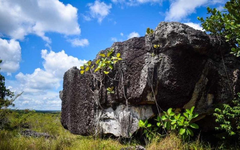 hermosas rocas en san jose del guaviare