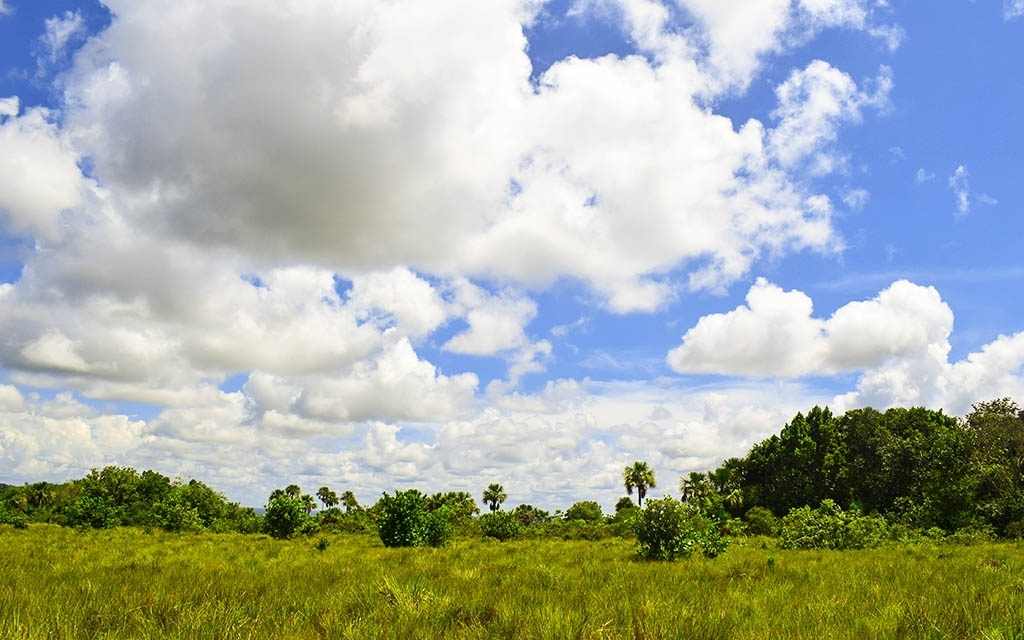 paisaje hermoso donde contraste la vegetacion y los cielos del guaviare en tuneles naturales