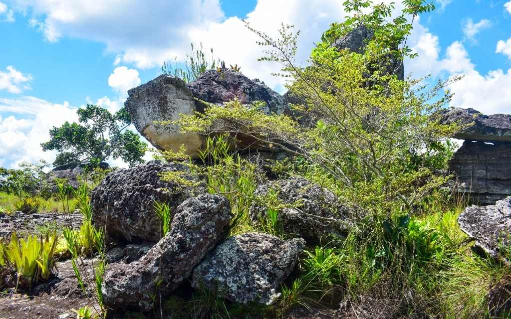 mix de rocas enn san jose del guaviare