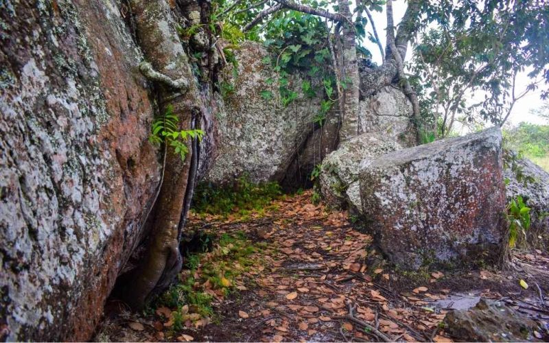 paisaje de rocas en tuneles naturales guaviare