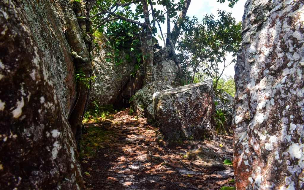 rocas forman un laberinto con sombras en tuneles naturales san jose del guaviare
