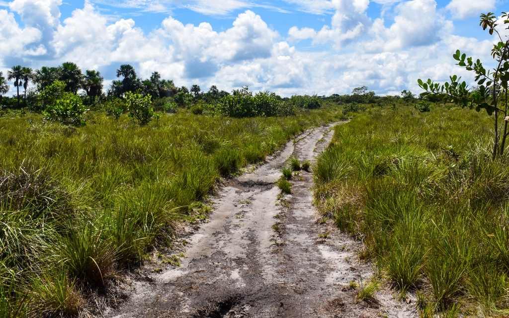 sendero verde, abierto de tuneles naturales sitio turistico en el guaviare