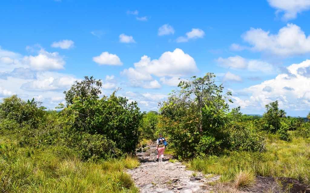 Caminante en los tuneles naturales guaviare, disfrutando de un paisaje natural vibrante y despejado, siguiendo un camino de piedras rodeado de vegetación exuberante bajo un cielo azul.