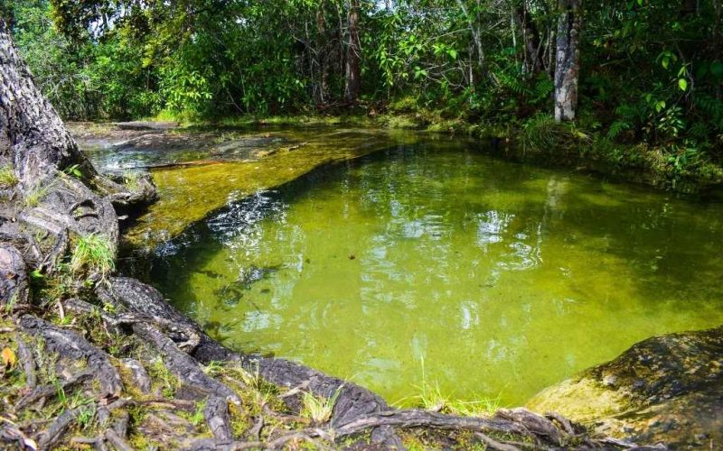 jacuzzi en tuneles naturales san jose del guaviare