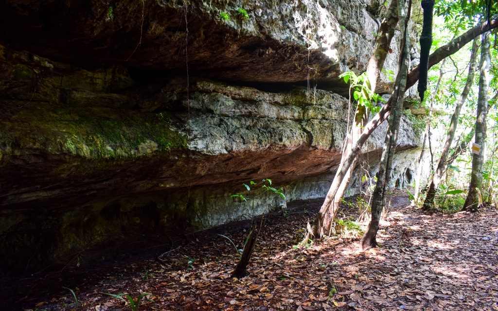 pared de una gran dimension en tuneles naturales guaviare