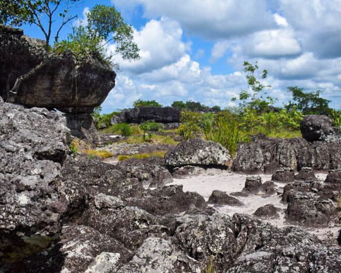 Paisaes de San josé del guaviare tuneles naturales