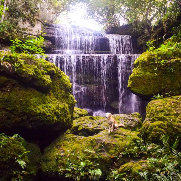 sitio turistico con una cascada oculta entre las montañas en san jose del guaviare los chorros