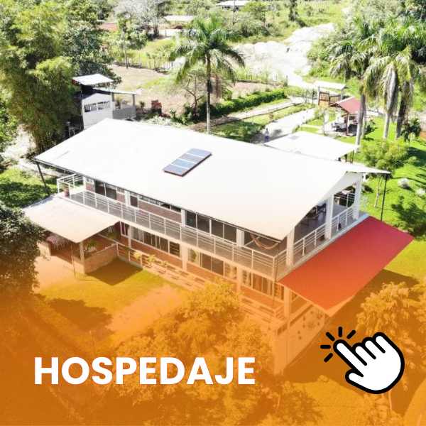 diseño que lleva a los hospedajes del guaviare