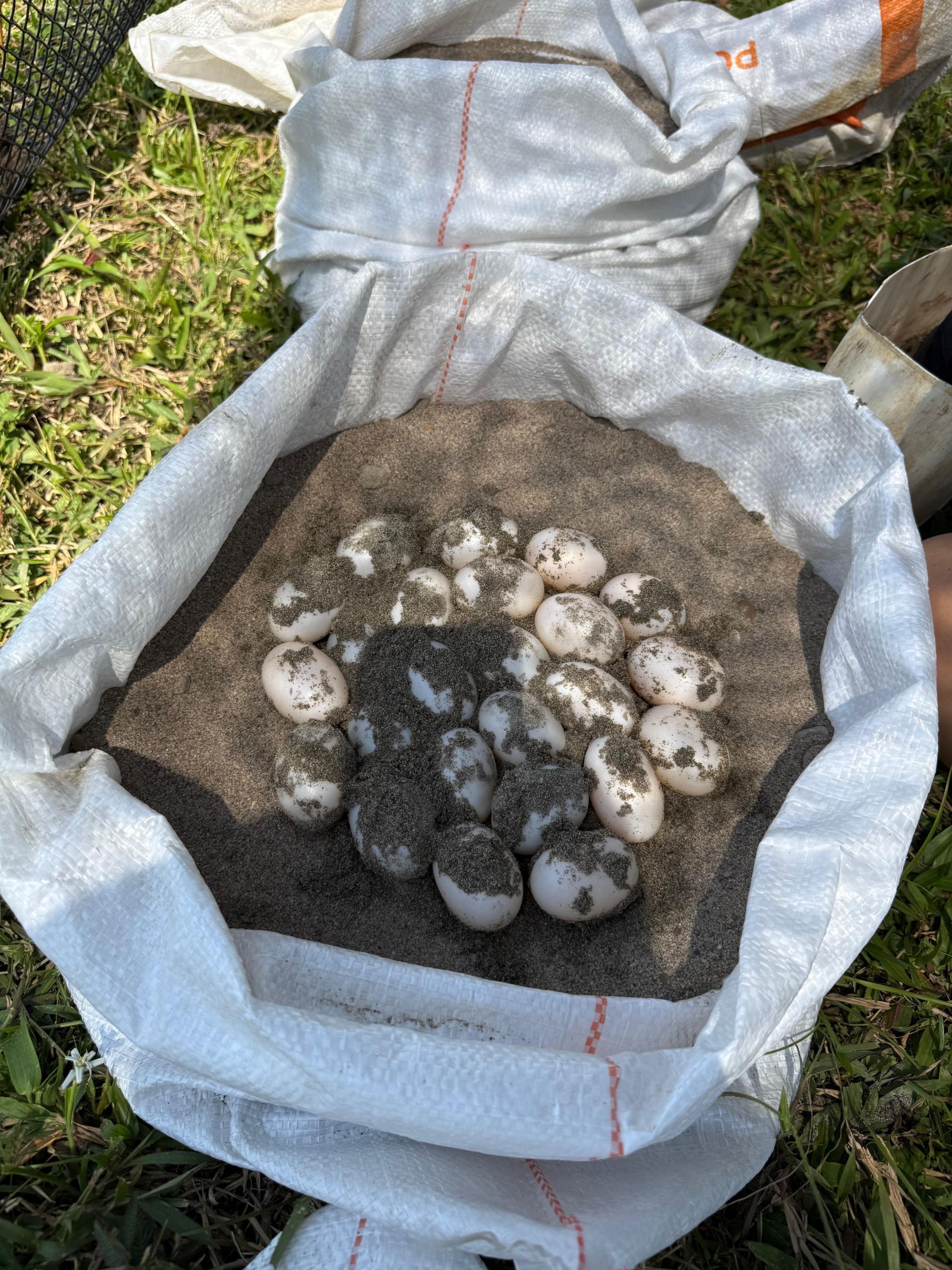 Imagen de WhatsApp 2026-01-12 a las 09.08.40_417f6869