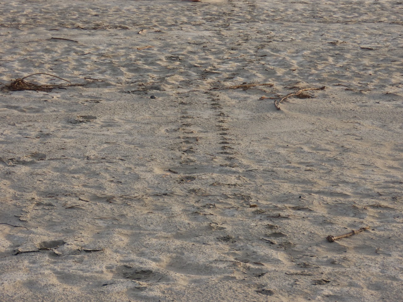 Imagen de WhatsApp 2026-01-12 a las 09.08.40_b5505c02